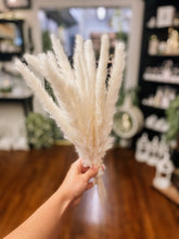 Load image into Gallery viewer, Pampas Grass Bundle
