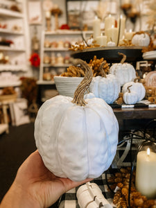 White Twisted Stem Pumpkins | 3 Sizes