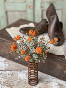 Fall Garden | Pumpkin