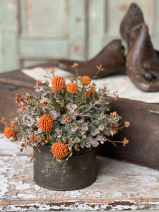 Fall Garden | Pumpkin
