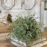 Mixed Sage Greenery