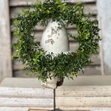 New England Boxwood