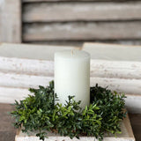 New England Boxwood