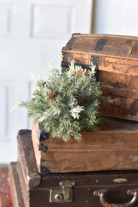Snowcapped Pine