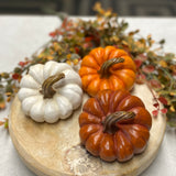 Small Slanted Pumpkins | 3 colors
