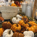 Small Slanted Pumpkins | 3 colors