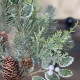 Iced Oxford Holly + Pine