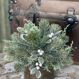 Iced Oxford Holly + Pine