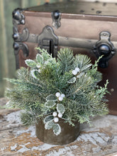 Load image into Gallery viewer, Iced Oxford Holly + Pine
