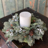 Iced Oxford Holly + Pine