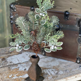 Iced Oxford Holly + Pine