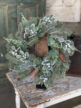 Load image into Gallery viewer, Iced Oxford Holly + Pine
