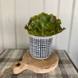 Mini Wood Cutting Board