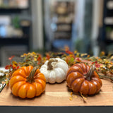 Small Slanted Pumpkins | 3 colors